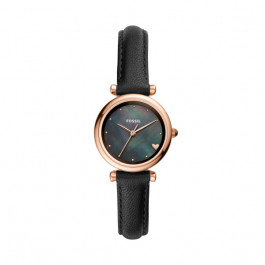 Fossil Vidrio de reloj (plano) ES4504
