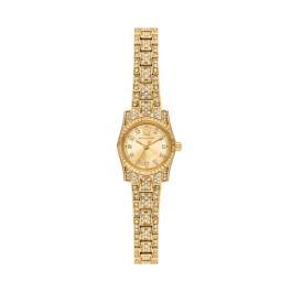 Correa de reloj Michael Kors MK4980 Acero Chapado en oro 10mm