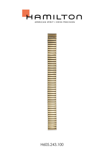 Correa de reloj Hamilton H600.243.100 / STAAL Acero Chapado en oro 17mm