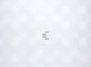 DKNY Eslabónes de reloj NY4912 / NY4913 - 20mm - (1 pieza)