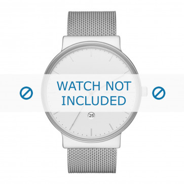 Skagen correa de reloj SKW6290 Metal Plateado 20mm
