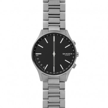 Correa de reloj Skagen SKT1305 Titanio 20mm