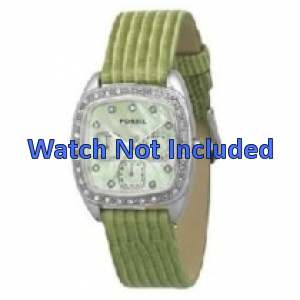 Correa de reloj Fossil ES1010 Cuero Verde 18mm