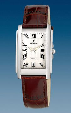 Correa de reloj Festina F16202 Cuero Marrón
