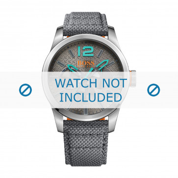 Correa de reloj Hugo Boss HO1513379 / 242-1-14 Lona Gris 24mm