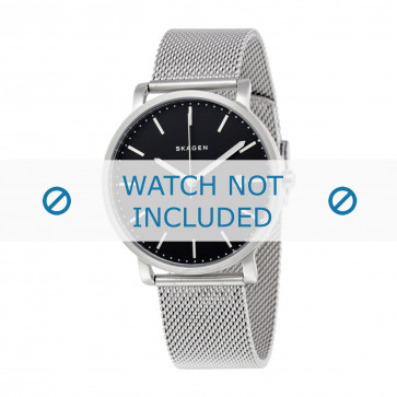 Correa de reloj Skagen SKW6314 Milanesa Acero 20mm