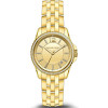 Correa de reloj Michael Kors MK3576 Acero Chapado en oro 16mm