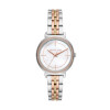 Correa de reloj Michael Kors MK3927 Acero Bicolor 14mm