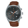 Correa de reloj Seiko PM3103X1.VD57-X1150 Cuero Marrón 22mm