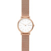 Correa de reloj Skagen SKW2694 Acero Rosa 14mm