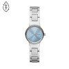 Correa de reloj Skagen SKW3069 Acero inoxidable Acero 12mm