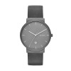 Correa de reloj Skagen SKW6320 Cuero Gris 20mm