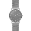 Correa de reloj Skagen SKW6428 Milanesa Acero 20mm