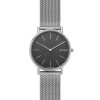 Correa de reloj Skagen SKW6483 Milanesa Acero 20mm