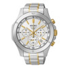 Correa de reloj Seiko 6T63-00G0 / SSB107P1 / M0TF111C0 Acero Bicolor 21mm