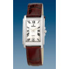 Correa de reloj Festina F16202 Cuero Marrón