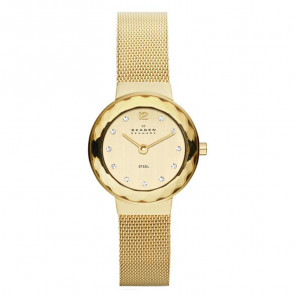 Correa de reloj Skagen 456SGSG Acero Chapado en oro