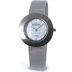 Correa de reloj Skagen 569STW Titanio Acero