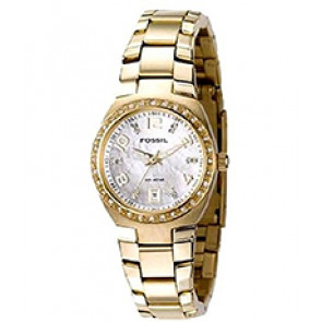 Correa de reloj Fossil AM4219 Acero Chapado en oro 18mm