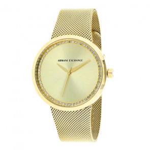 Correa de reloj Armani Exchange AX4502 Acero Chapado en oro 22mm