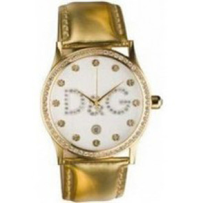 Correa de reloj Dolce & Gabbana DW0390 / F360004397 Cuero Chapado en oro 24mm