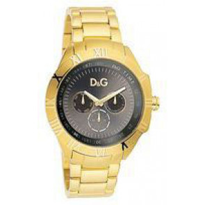 Correa de reloj Dolce & Gabbana DW0653 Acero Chapado en oro 22mm
