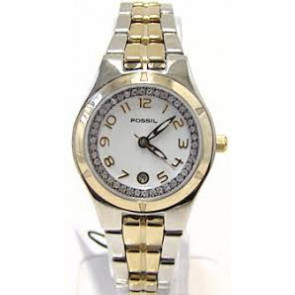 Correa de reloj Fossil ES1741 Acero inoxidable Acero 8mm
