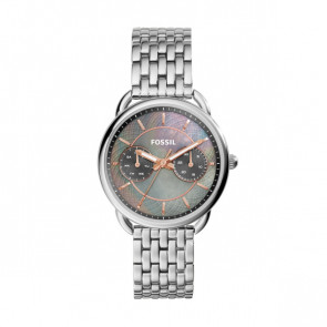 Correa de reloj Fossil ES3911 Acero