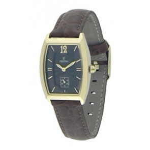 Correa de reloj Festina F16027-4 Cuero Marrón 16mm