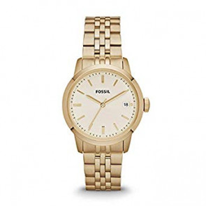 Correa de reloj Fossil FS4821 Acero inoxidable Chapado en oro 18mm