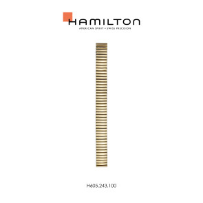 Correa de reloj Hamilton H600.243.100 / STAAL Acero Chapado en oro 17mm