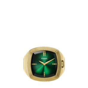 Correa de reloj Fossil LE1213 Acero Chapado en oro 6mm