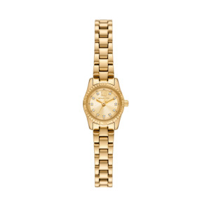 Correa de reloj Michael Kors Mk4862 Acero Chapado en oro 10mm