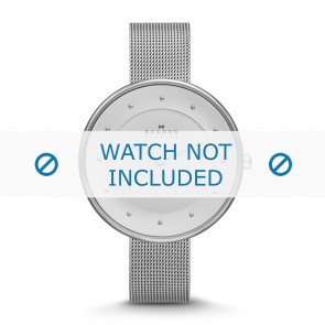 Correa de reloj Skagen SKW2140 / 237XXXX Acero 14mm