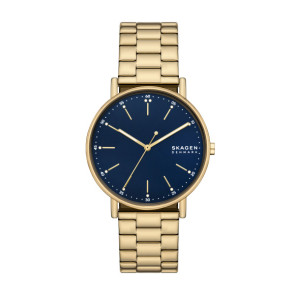 Correa de reloj Skagen SKW6945 Acero Chapado en oro 20mm