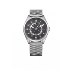 Correa de reloj Tommy Hilfiger TH-106-1-14-2207 / TH679001373 Acero