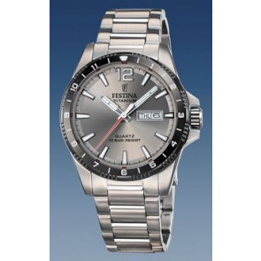 Correa de reloj Festina F20698 Acero Titanio