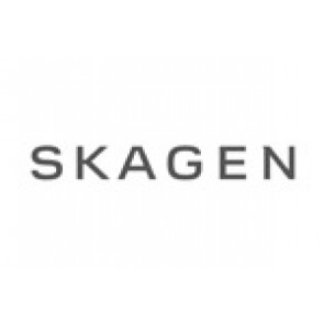 Correa de reloj Skagen 358XSGS Milanesa Acero