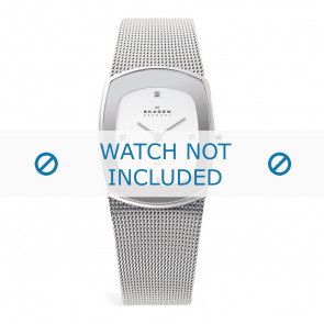 Correa de reloj Skagen 649SSSC
