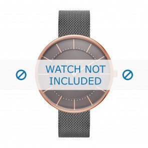 Skagen correa de reloj SKW2584 Metal Gris 16mm
