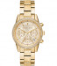 Correa de reloj Michael Kors MK6597 Acero Chapado en oro 18mm