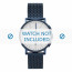 Skagen correa de reloj SKT1107 Metal Azul  20mm