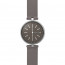 Correa de reloj Skagen SKT1401 Cuero Gris 16mm
