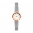 Correa de reloj Skagen SKW1112 Acero inoxidable Acero 12mm
