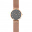 Correa de reloj Skagen SKW2675 Acero Rosa 16mm