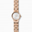 Correa de reloj Skagen SKW2791 Acero inoxidable Rosado 14mm