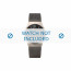 Skagen correa de reloj 233MTTM1 Metal Gris antracita